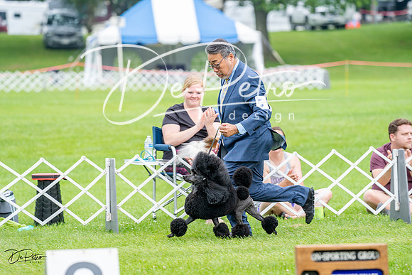 20230701-DSC09986