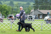 20230702-DSC01230
