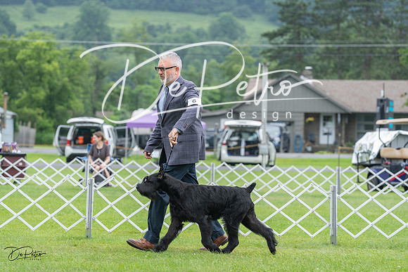 20230702-DSC01230