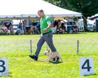 20240630-DSC02496