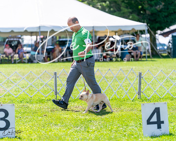 20240630-DSC02496
