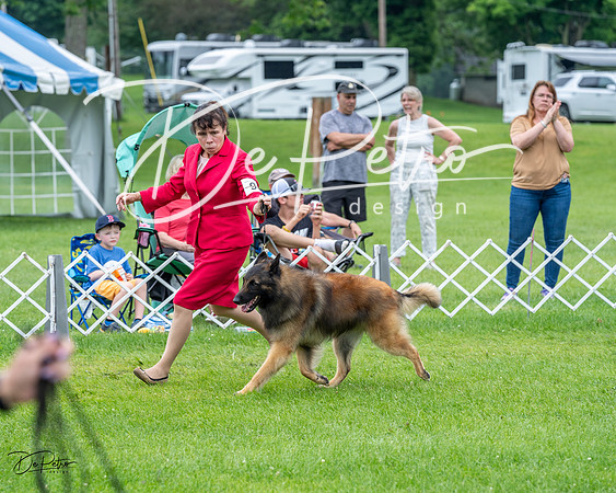 20230702-DSC04188