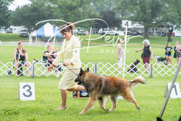 20230701-DSC09515