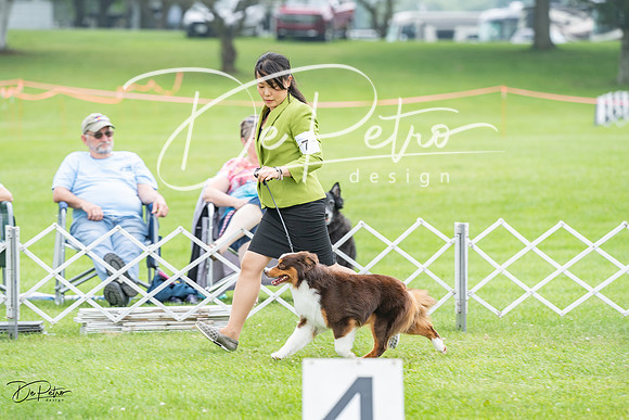 20230701-DSC09671