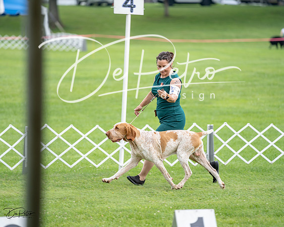 20230701-DSC08537