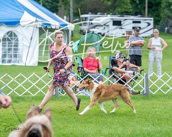 20230702-DSC04197