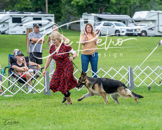 20230702-DSC04166