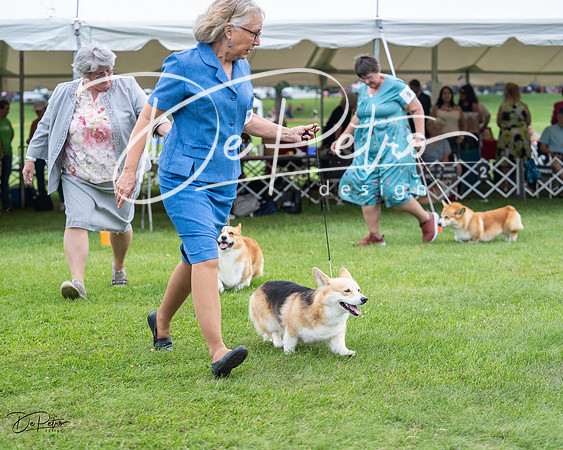 20230701-DSC01157