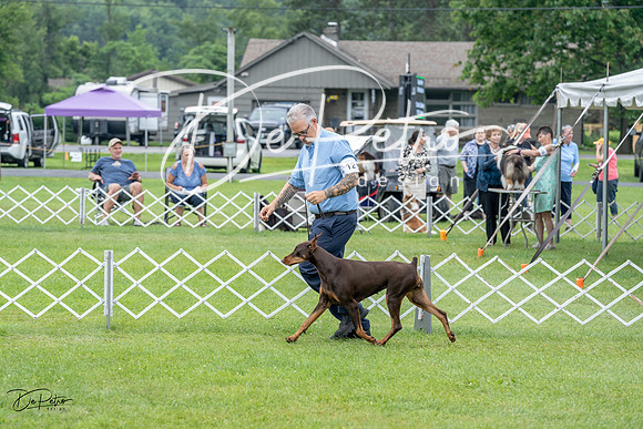 20230702-DSC00812