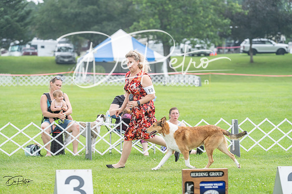 20230701-DSC09556