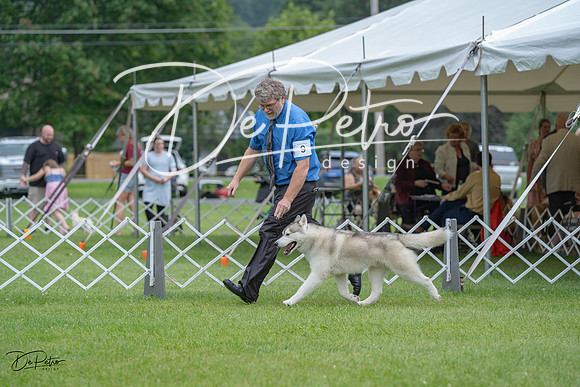 20230702-DSC01597