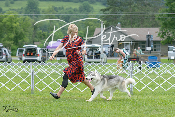 20230702-DSC01364