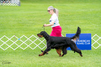 20230702-DSC03520