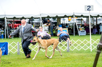 20230702-DSC01840