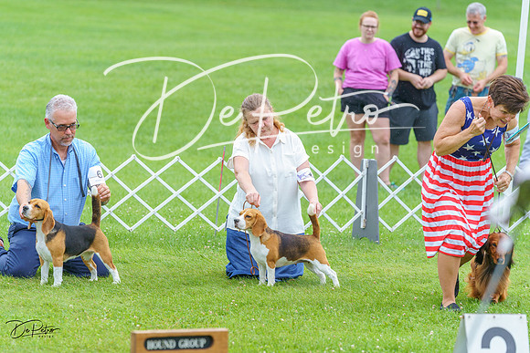 20230702-DSC04660