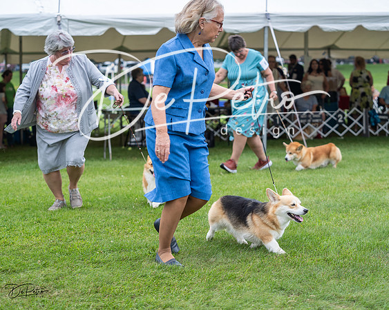 20230701-DSC01159