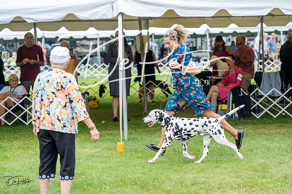 20230701-DSC09824