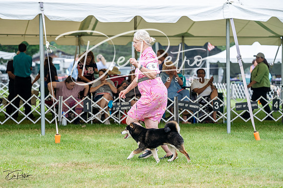 20230701-DSC09869
