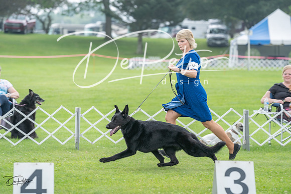20230701-DSC09370