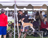 20250626-DSC04408