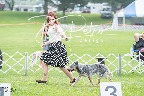 20230701-DSC09645