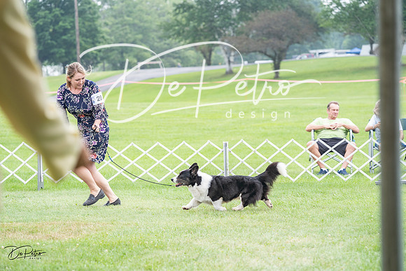 20230701-DSC09714