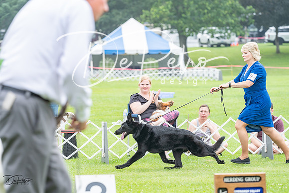 20230701-DSC09742