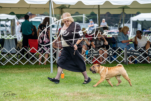 20230701-DSC09843