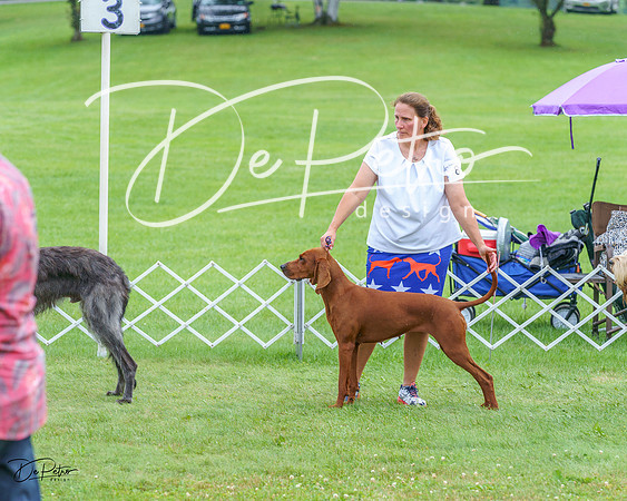 20230702-DSC04634