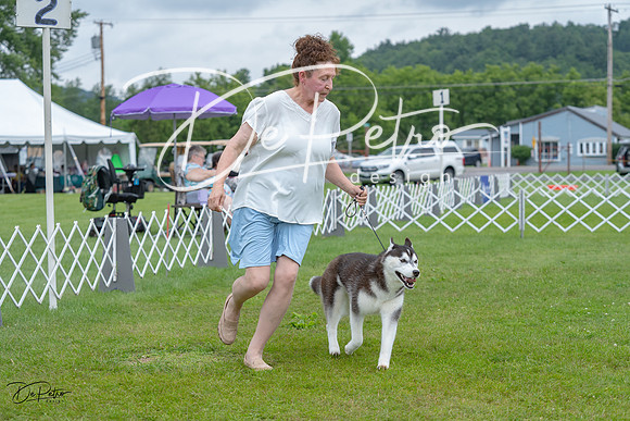 20230702-DSC01780
