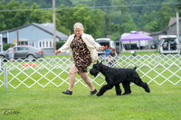 20230702-DSC01278