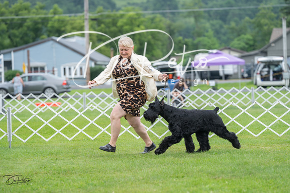 20230702-DSC01278