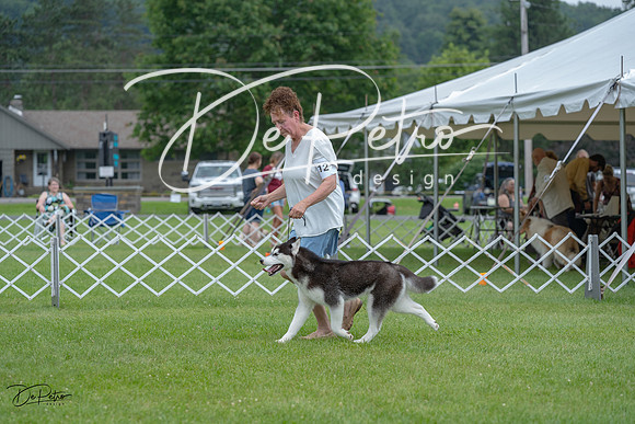 20230702-DSC01723