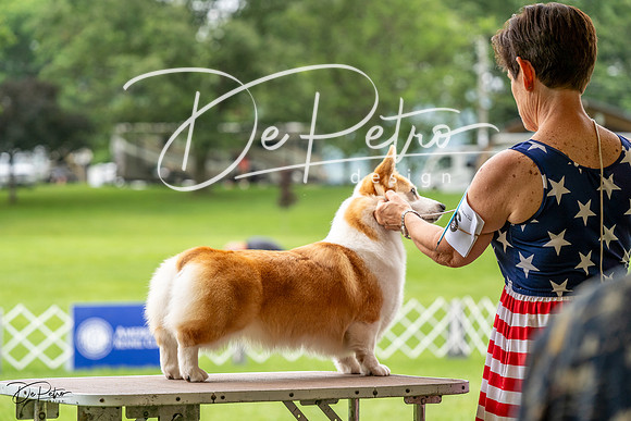 20230702-DSC04120