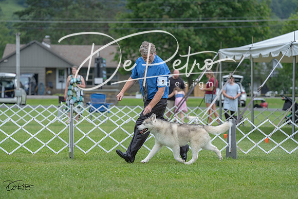 20230702-DSC01603