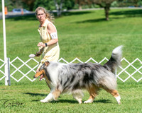 20250629-DSC00730