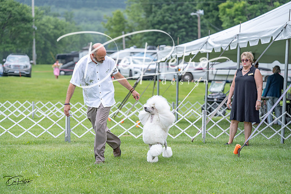20230701-DSC00861