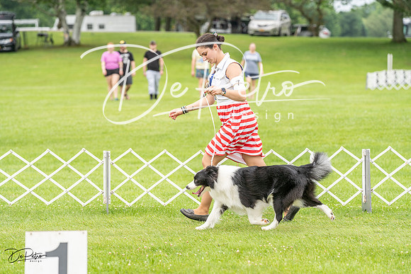 20230702-DSC03993