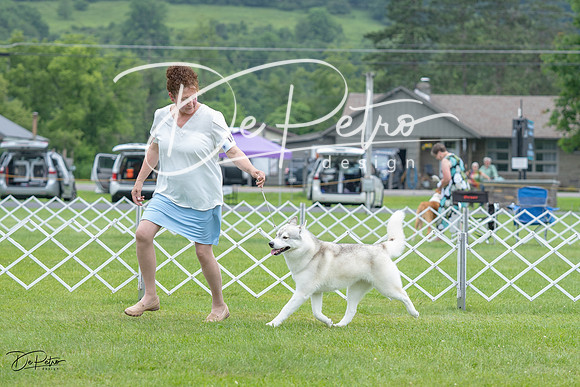 20230702-DSC01373