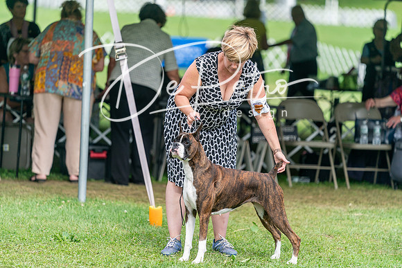 20240630-DSC05696