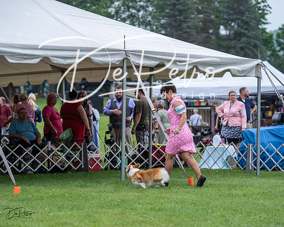 20230701-DSC01182