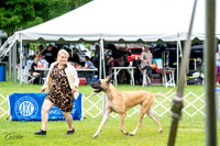 20230702-DSC01900