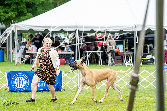 20230702-DSC01900
