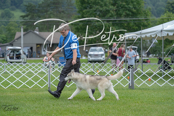 20230702-DSC01589