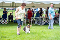 20230701-DSC01582