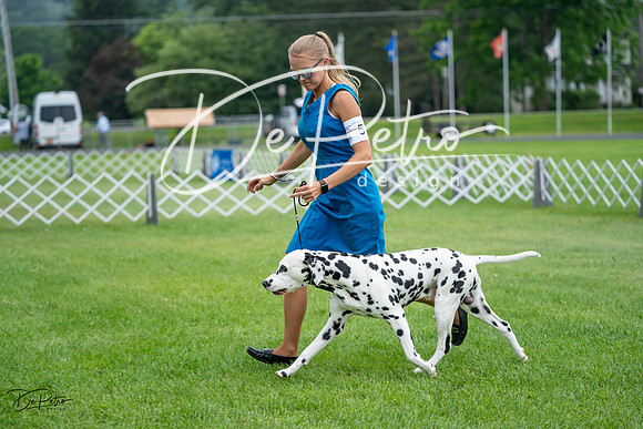 20230701-DSC08289