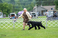 20230702-DSC01274