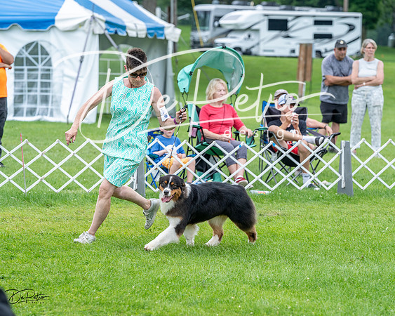 20230702-DSC04221