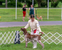 20250628-DSC07304