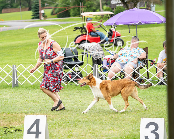 20230702-DSC03923
